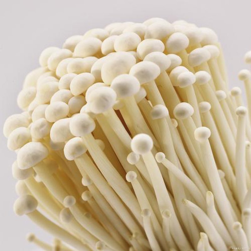 食用菌批发市场趋势与机遇